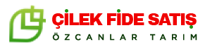 cilek logo 1